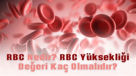 kan değeri rbc nedir